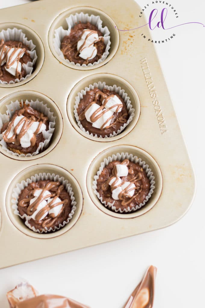 Drizzle Chocolate Over S'mores Mini Cheesecakes