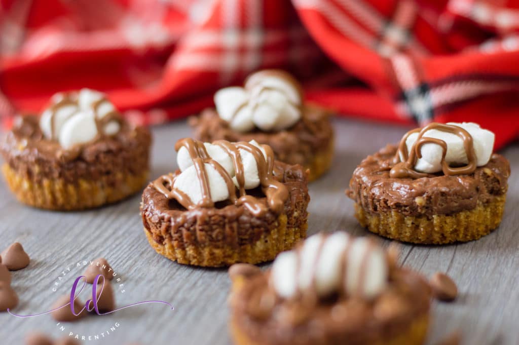 S'mores Mini Cheesecakes Recipe from Scratch