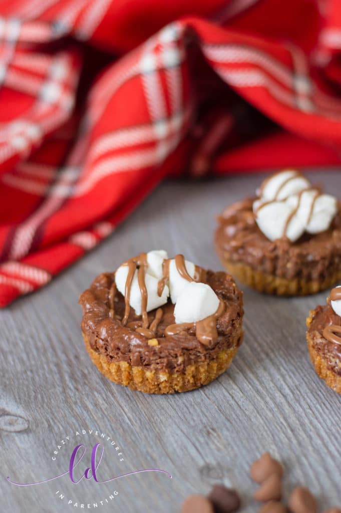 Yummy S'mores Mini Cheesecakes Recipe