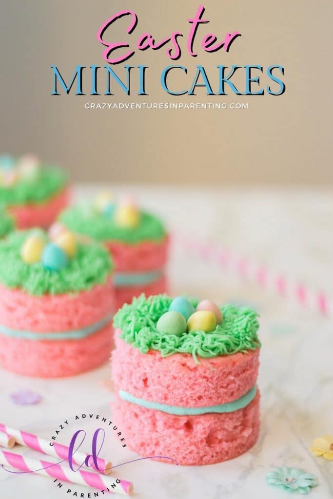 Easter Mini Cakes Recipe | Crazy Adventures in Parenting
