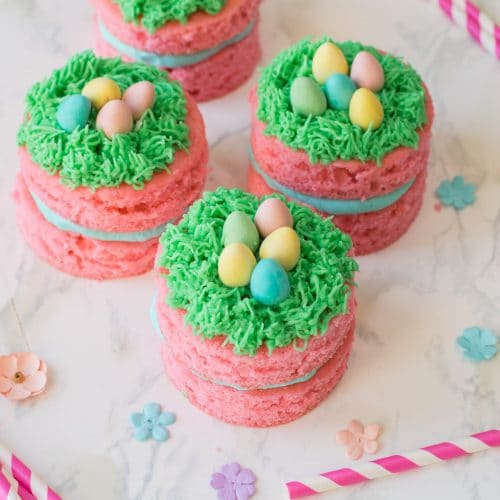 Easter Mini Cakes Dessert Recipe